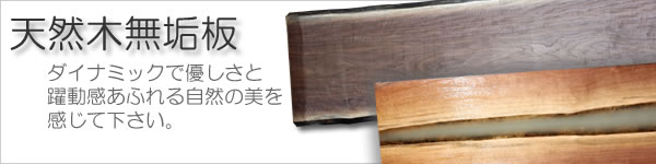 �V�R���C�ꖇ��