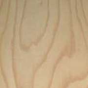 �P���L�@�ۖ�