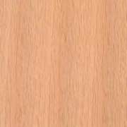 �i���@����